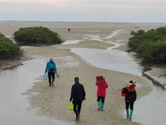 -北海金海湾红树林生态旅游区