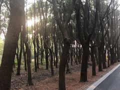 -同里国家湿地公园