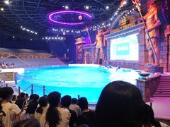 -哈尔滨波塞冬海底世界