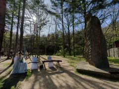 -洛阳白云山景区