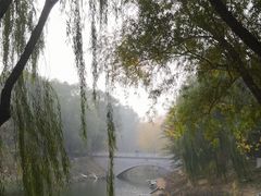 -大兴滨河森林公园