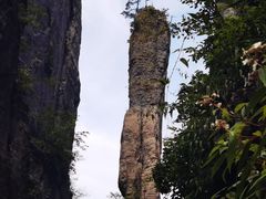 -恩施大峡谷