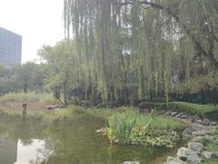 -木塔寺遗址生态公园
