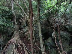 -七仙岭温泉国家森林公园