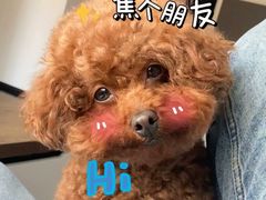 -宠颐生动物医院·心脏科·保险定点(锦阳分院)