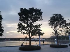 -宝安西湾红树林湿地公园