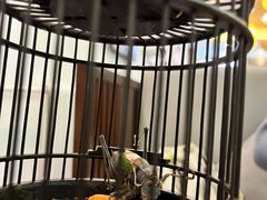 -潇湘·永州会馆(百子湾店)