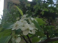 -金石唐风国际温泉会馆