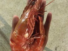 -越海渔村