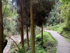 -西岭雪山大飞水景区