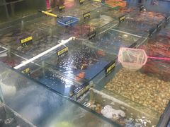 -明记海鲜大排档(巽寮湾店)