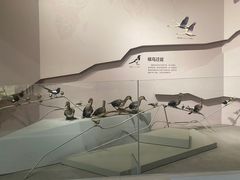 -武汉园博园(武汉自然博物馆)