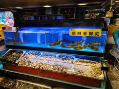 -苏格里岛自助海鲜烤肉(青秀万达店)