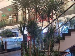 -旺顺阁鱼头泡饼(小红门店)