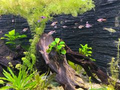 -上海海洋水族馆