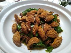 辣椒炒鲍鱼-新长福(星沙店)