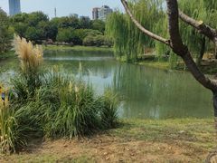 -堤角公园