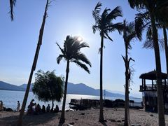 -西昌邛海湿地