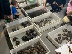 -华声天桥民俗文化园