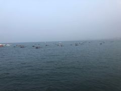 -悦港(悦港酒店)