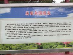 -莲花池公园