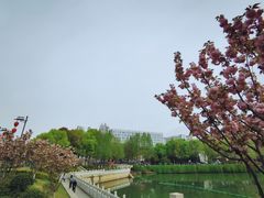 -东水关遗址公园