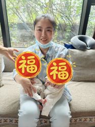 -金芙美月子中心(财富别墅店)
