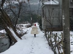 -东天目山风景区