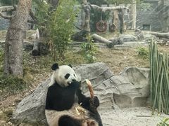 -武汉动物园