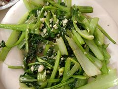 -煲来饱去冷水鱼