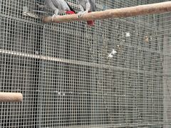 -观桥阁(锦溪店)