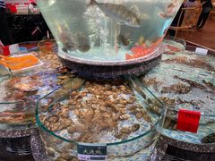 海鲜池-德胜轩正宗顺德菜(宝安沙井会展中心店)