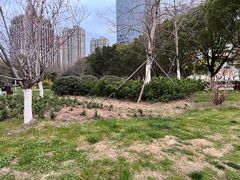 -天鹅湖体育公园