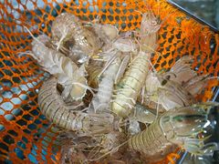 -达叔香味海鲜(海棠68环球美食街店)