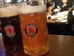 -宝莱纳啤酒花园餐厅PAULANER BRAUHAUS Nanjing(广州路店)