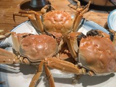 -甄品麦哲伦海鲜和牛自助(万达广场店)