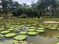 -中国科学院西双版纳热带植物园