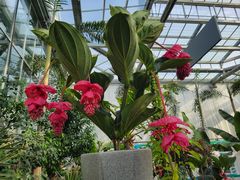 -国家植物园南园