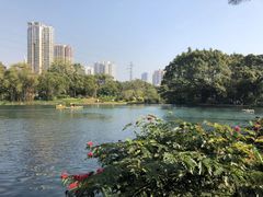 -晓港公园