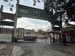 -观潮胜地公园