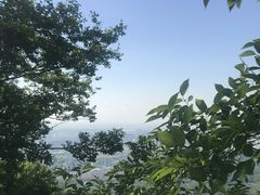-紫金山山顶公园