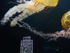 -欢乐海岸海洋奇梦馆