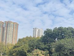 -晓港公园