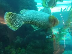 -鸿通城购物中心