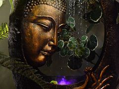 -泰·菩提树下[泰式按摩x精油SPAx肩颈头疗](新景店)