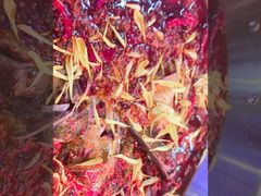 -红牌美蛙鱼头火锅(万辉国际广场店)
