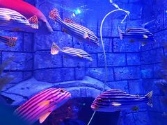 -波塞冬旅游度假区