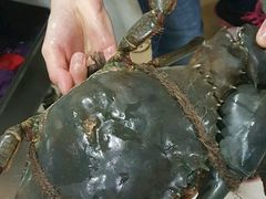 -龙海鲜螃蟹王(宏茂桥店)