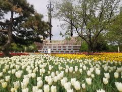 -长春公园(普阳街道)