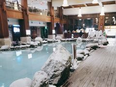 -青城道汤池